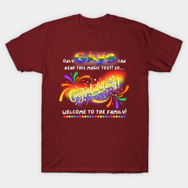 Lgbt joke shirt top